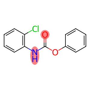 PHENYL N-(2-CHLOROPHENYL)CARBAMATE