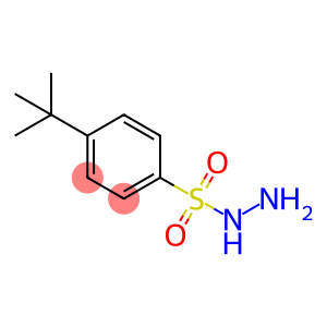 Benzenesulfonic acid, 4-(1,1-dimethylethyl)-, hydrazide