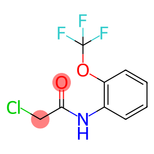 2-氯-N-[2-(三氟甲氧基)苯基]乙酰胺