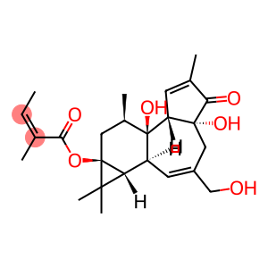 2-Butenoic acid, 2-methyl-, (1aR,1bS,4aR,7aS,7bR,8R,9aS)-1,1a,1b,4,4a,5,7a,7b,8,9-decahydro-4a,7b-dihydroxy-3-(hydroxymethyl)-1,1,6,8-tetramethyl-5-oxo-9aH-cyclopropa[3,4]benz[1,2-e]azulen-9a-yl ester, (2Z)-