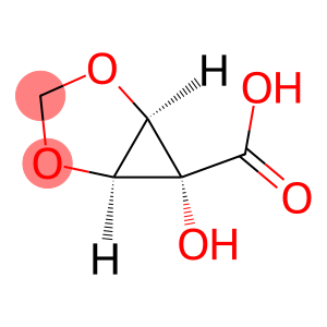 2,4-Dioxabicyclo[3.1.0]hexane-6-carboxylicacid,6-hydroxy-,(1alpha,5alpha,6beta)-(9CI)