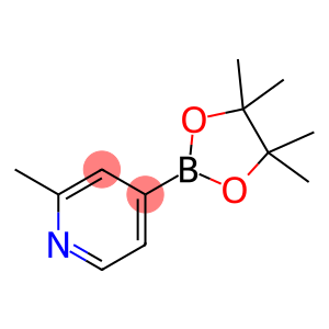 2-甲基吡啶-4-硼酸频哪酯