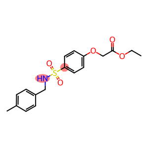 ethyl (4-{[(4-methylbenzyl)amino]sulfonyl}phenoxy)acetate