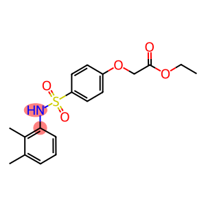 ethyl {4-[(2,3-dimethylanilino)sulfonyl]phenoxy}acetate