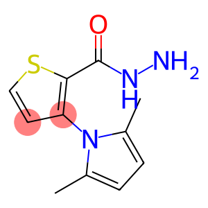 3-(2,5-DIMETHYL-1H-PYRROL-1-YL)-2-THIOPHENECARBOHYDRAZIDE