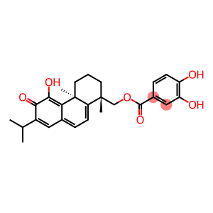 3,4-Dihydroxybenzoic acid 11-hydroxy-12-oxoabieta-5,7,9(11),13-tetraene-19-yl ester