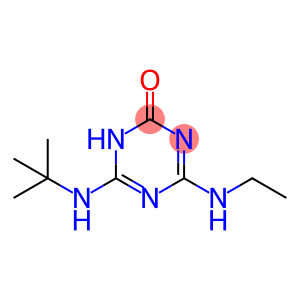 1,3,5-Triazin-2(1H)-one, 4-((1,1-dimethylethyl)amino)-6-(ethylamino)-