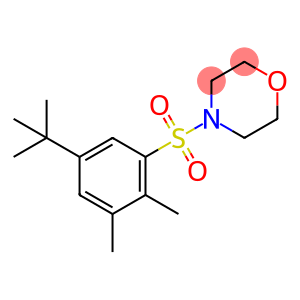 4-[(5-tert-butyl-2,3-dimethylphenyl)sulfonyl]morpholine