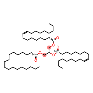 TRIOLEIN, [CARBOXYL-14C]