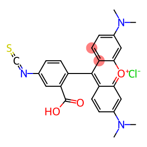 TETRAMETHYLRHODAMINE B ISOTHIOCYANATE