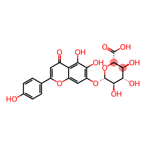 Scutellarein-7-o-beta-D-glucuronide