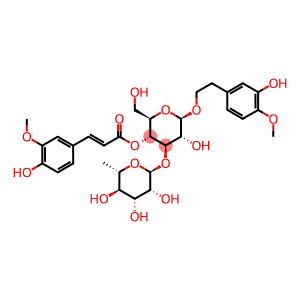 3-Hydroxy-4-methoxyphenethyl 3-O-α-L-rhamnopyranosyl-4-O-(3-methoxy-4-hydroxy-trans-cinnamoyl)-β-D-glucopyranoside