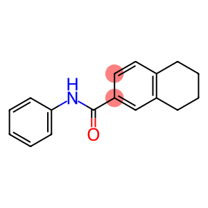 2-Naphthalenecarboxamide,5,6,7,8-tetrahydro-N-phenyl-(9CI)