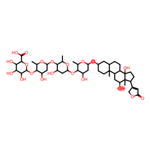 digoxin-16'-glucuronide