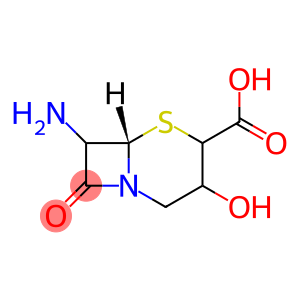 7-amino-3-hydroxycepham-4-carboxylic acid