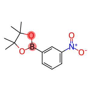 3-Nitrophenylboronic acid pinacol ester