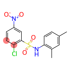 2-Chloro-N-(2,4-dimethylphenyl)-5-nitrobenzenesulfonamide