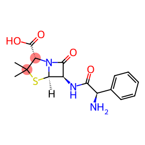 氨苄青霉素