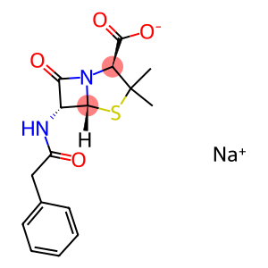 Penicillin G Sodium