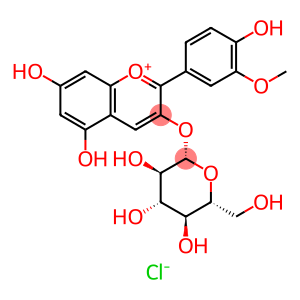 2-(3-Methoxy-4-hydroxyphenyl)-3-(β-D-glucopyranosyloxy)-5,7-dihydroxy-1-benzopyrylium·chloride