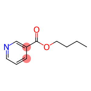 烟酸丁酯