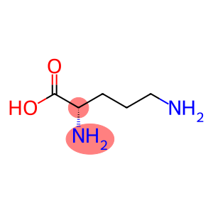 ORNITHINE