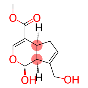 Cyclopenta[c]pyran-4-carboxylic acid, 1,4a,5,7a-tetrahydro-1-hydroxy-7-(hydroxymethyl)-, methyl ester, [1S-(1α,4aβ,7aβ)]- (9CI)