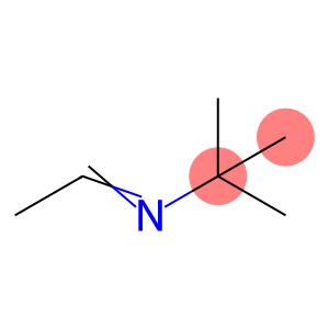 N-叔丁基乙基亚胺