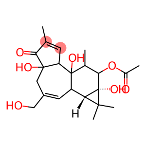 Phorbol12-monoacetate,4β