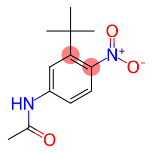 N-{3-tert-butyl-4-nitrophenyl}acetamide