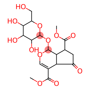 (1S)-1α-(β-D-Glucopyranosyloxy)-1,4aα,5,6,7,7aα-hexahydro-5-oxocyclopenta[c]pyran-4,7α-dicarboxylic acid dimethyl ester