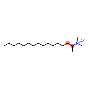 N,N-Dimethyl-2-hexadecanamineN-oxide