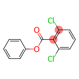 2,6-Dichlorobenzoic acid phenyl ester