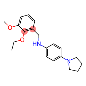 N-(2-ethoxy-3-methoxybenzyl)-N-[4-(1-pyrrolidinyl)phenyl]amine