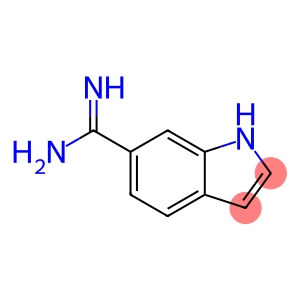 1H-indole-6-carboximidamide