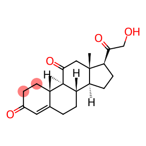 11-DEHYDROCORTICOSTERONE