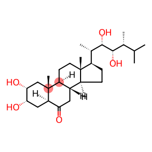 22S,23S-EPICASTASTERONE