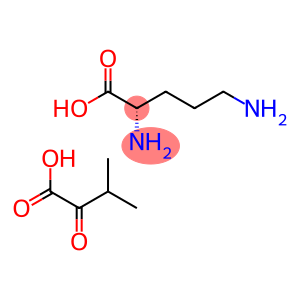 L-ornithine (3-methyl-2-oxobutyrate)