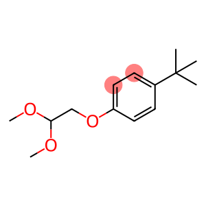 1-(2,2-Dimethoxyethoxy)-4-(1,1-dimethylethyl)benzene