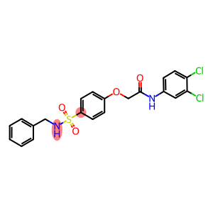 2-{4-[(benzylamino)sulfonyl]phenoxy}-N-(3,4-dichlorophenyl)acetamide