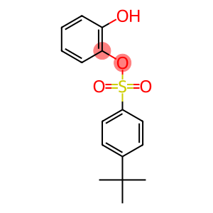 2-hydroxyphenyl 4-tert-butylbenzenesulfonate