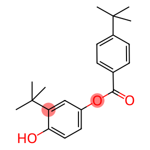 3-tert-butyl-4-hydroxyphenyl 4-tert-butylbenzoate