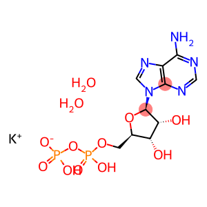 Adenosine-5′-diphosphoric  acid  K  salt