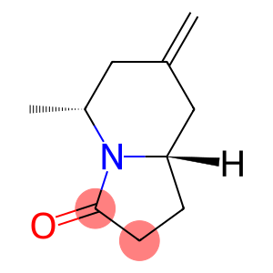 3(2H)-Indolizinone,hexahydro-5-methyl-7-methylene-,(5R,8aS)-(9CI)