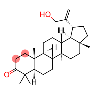 30-Hydroxylup-20(29)-en-3-one