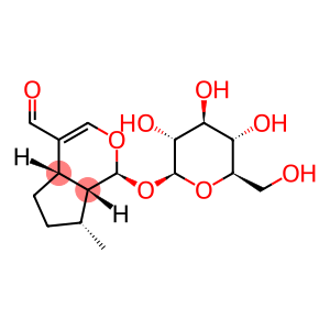 (1S)-1-(β-D-Glucopyranosyloxy)-1,4aα,5,6,7,7aα-hexahydro-7β-methylcyclopenta[c]pyran-4-carbaldehyde