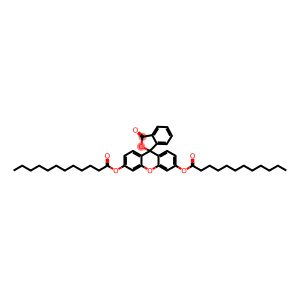 FLUORESCEIN DILAURATE, FOR FLUOR-