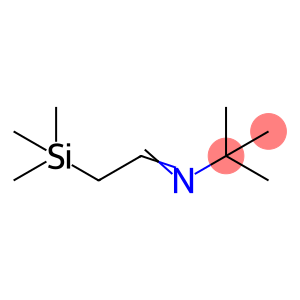 2-TRIMETHYLSILYL-N-TERT-BUTYLACETALDIMINE