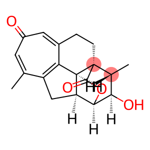 hainanolidol