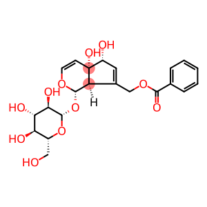 [(1S)-7-[(Benzoyloxy)methyl]-1,4a,5,7aα-tetrahydro-4aα,5α-dihydroxycyclopenta[c]pyran-1-yl]β-D-glucopyranoside